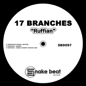 Surskit (Robert Monarch Remix)