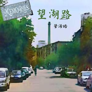 望湖路原版