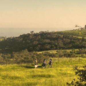 Lorn(Whatever You Say!) (The River Street Demo)