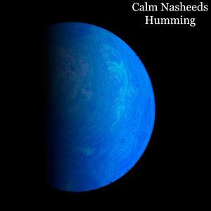 Nasheed