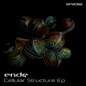Cellular Structure (Original Mix)