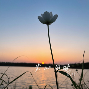 素心向晚