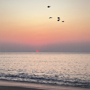 CALL of Silence (钢琴原版)