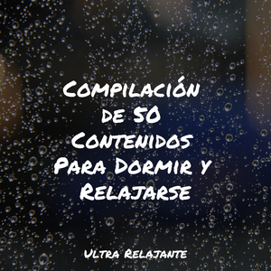 Anochecer En La Distancia