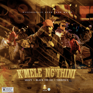 K'mele Ngithini (feat. Black Tee-do & Terrence) (Radio Edit)