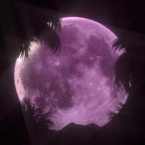 姜云升-假装（youcopy remix）