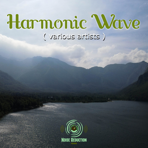 Harmonic Wave (original mix)