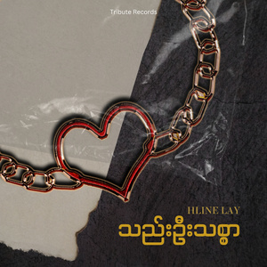 ကြယ်ကြွေချိန်ညလေးတစ်ည (Live)