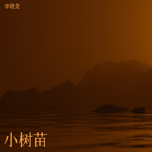 小树苗