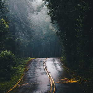 In Search of Rain