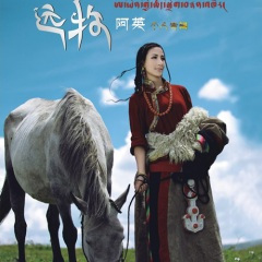 亲情的呼唤