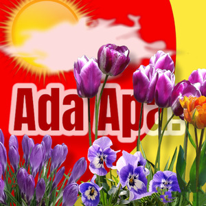 Ada Apa?