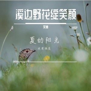 你的梦想我看见