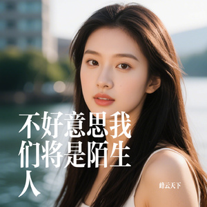 不好意思我们将是陌生人