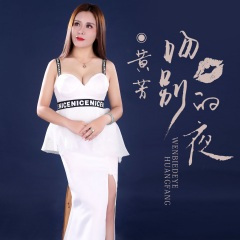 吻别的夜