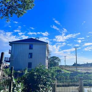 꿈을 향한 길마#초#묘음