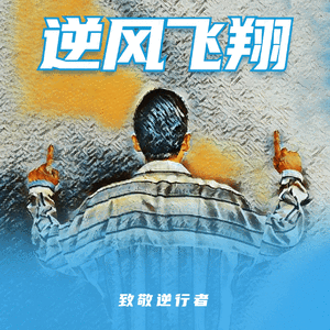 逆风飞翔（伴奏）