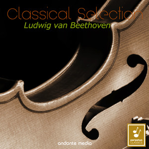 I. Allegro, ma non Tanto