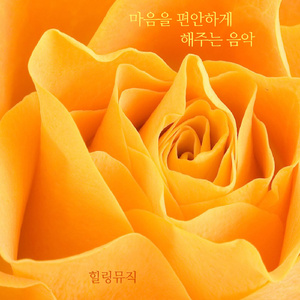 마음을 편안하게 해주는 음악