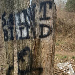 Cherubim (and Seraphim)