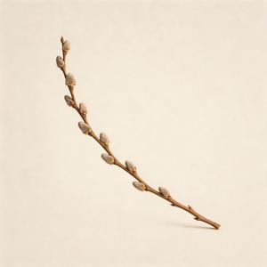 删了她（我应该删了她忘了她放下她）
