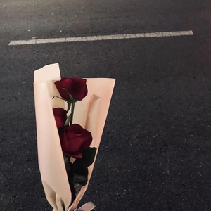 Улетали птицами гордыми