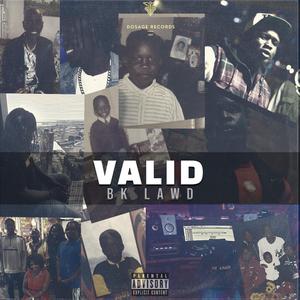 VALID (Radio Edit)