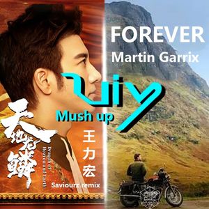 天地龙鳞 vs Forever BPM128-150（Viy MUSH UP）