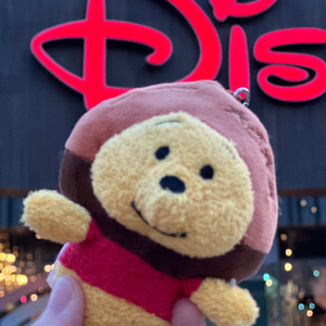 迪士尼在逃公主