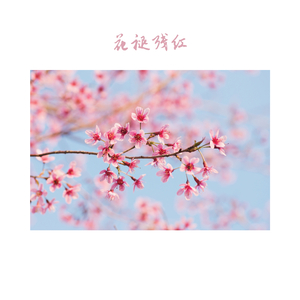 花开时 (萧)