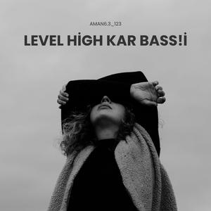 Level High kar bass!