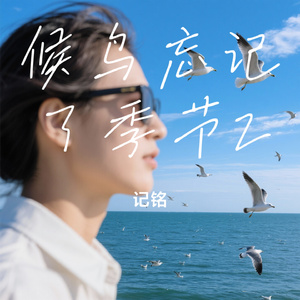 候鸟忘记了季节2