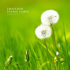 소녀, 봄을 만나다