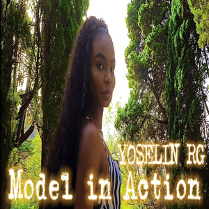 Model In Action