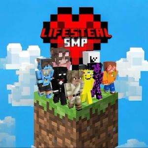 Endless Pixel Night (LIFESTEAL SMP)
