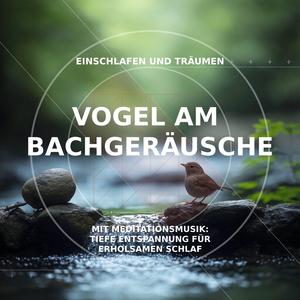 Waldvögel am Bach: Naturgeräusche zum Einschlafen & Träumen