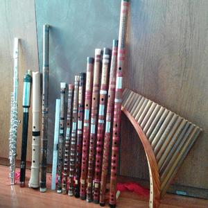 神经病之歌 卡祖笛