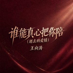 谁能真心把你陪(逝去的爱情)