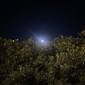 带我去过夜生活（升1全音版）