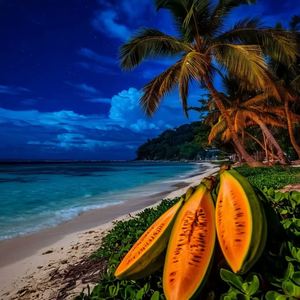"MIDNIGHT PAPAYA"🌴🌙🌊(REMIX MABG) НОЧНАЯ ПАПАЙЯ by GALINA V