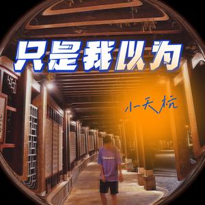 只是我以为Remix