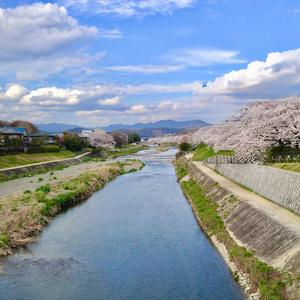 きっと、まだ間に合う B