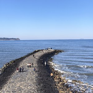 缘如冰逝手留伤