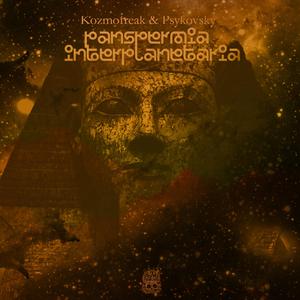 Panspermia interplanetaria