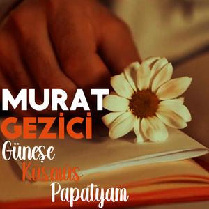 Güneşe Küsmüş Papatyam