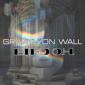 Gravity on wall