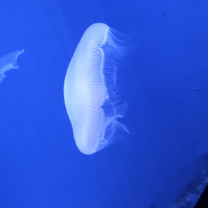 慢慢来，小帆船