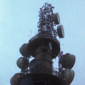 Alma