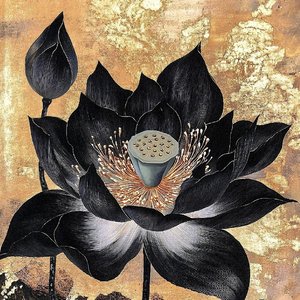 《墨莲花》