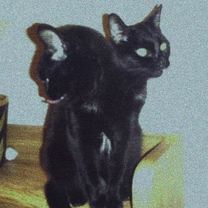 Sinister